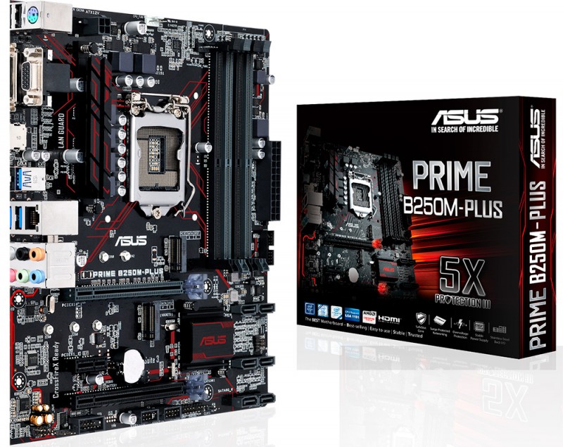 Asus prime b250m plus совместимость